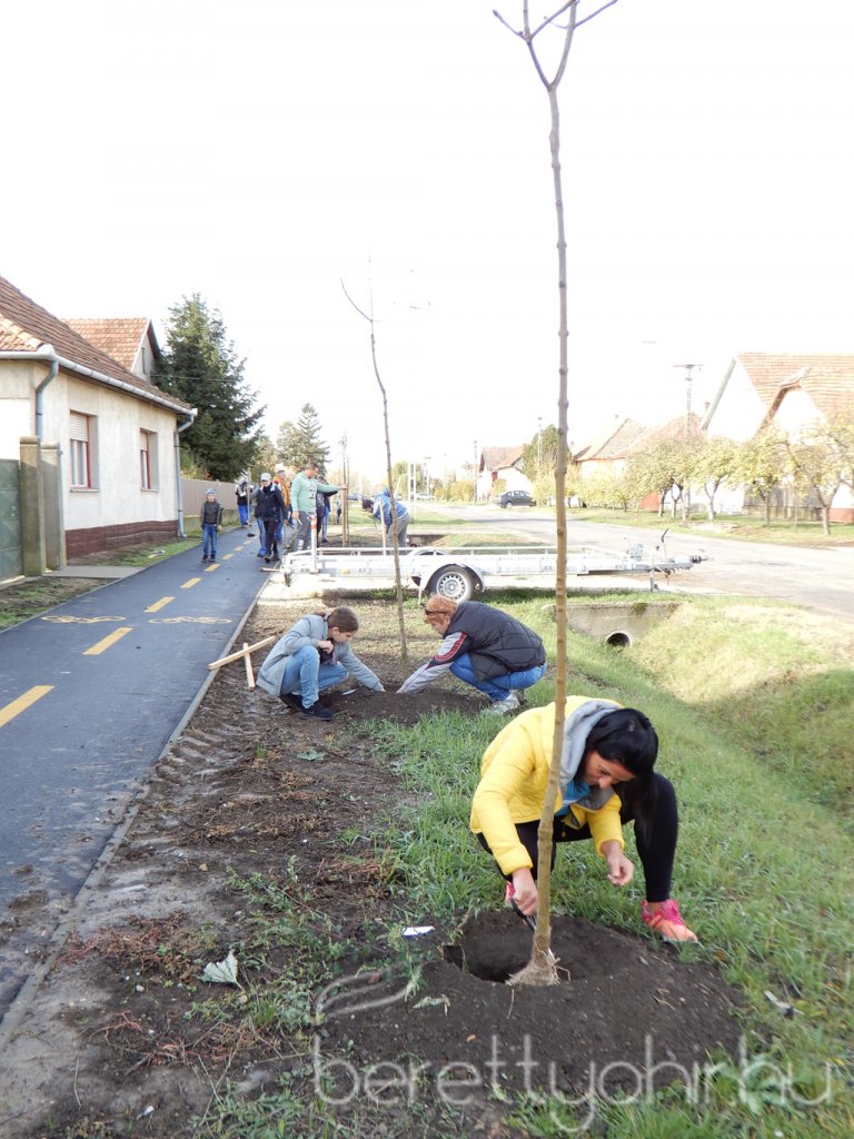 Közösségi faültetés Berettyóújfaluban 63